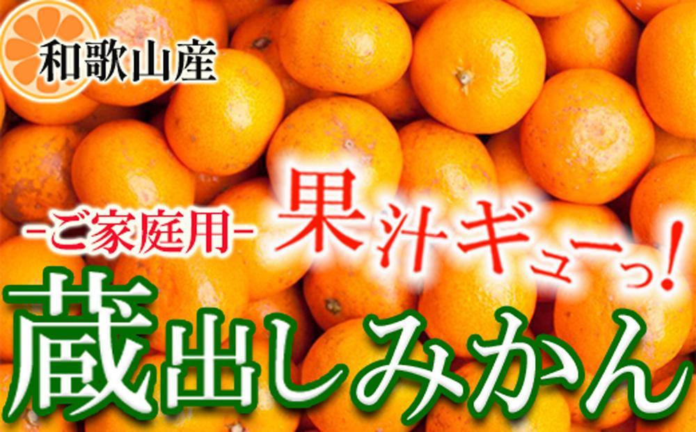 家庭用&nbsp;蔵出しみかん7.5kg+250g（傷み補償分）［2026年1月中旬から2026年2月下旬頃順次発送予定］［IKE241］