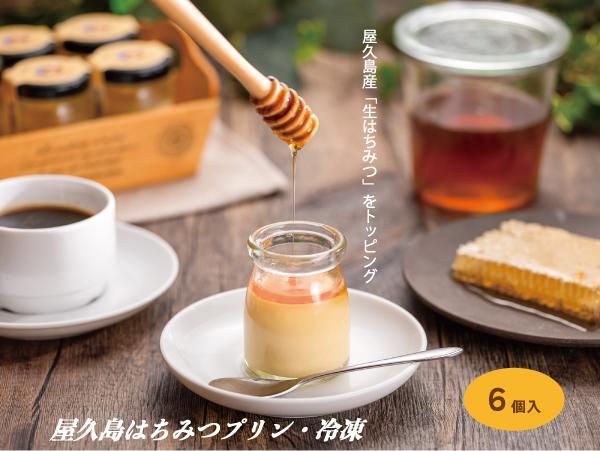 【数量限定】屋久島はちみつ冷凍プリン6個セット