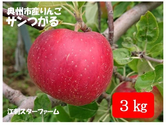 【スターファーム】 こだわり栽培の サンつがる 厳選品 ３Kg 岩手県奥州市産りんご　産地直送