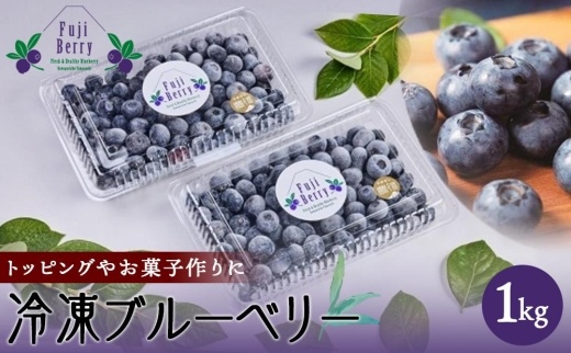 Fuji Berry 急速冷凍ブルーベリー1kg | JTBのふるさと納税サイト [ふるぽ]