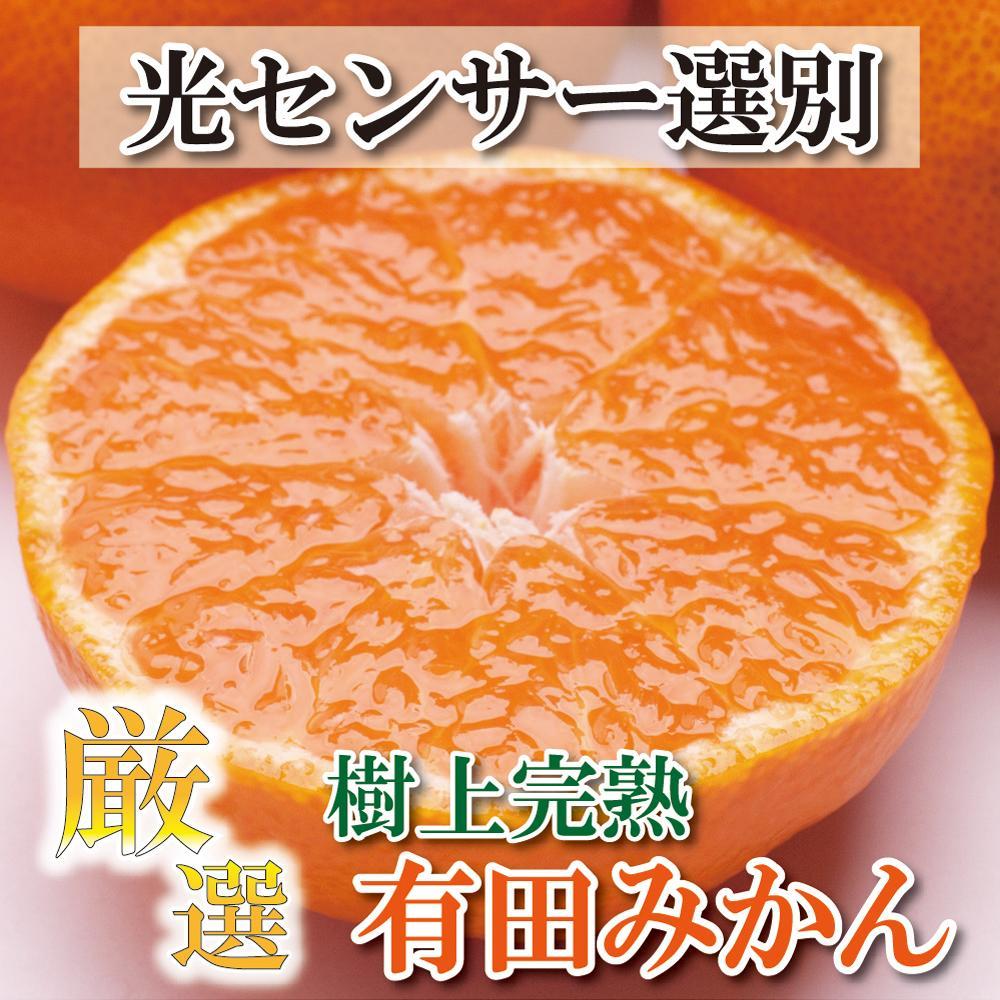 ＜11月より発送＞厳選 完熟有田みかん2.5kg+75g（傷み補償分）