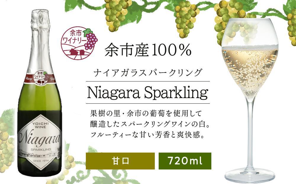 北海道 ワイン ナイアガラスパークリング 720ml＜余市ワイン＞
