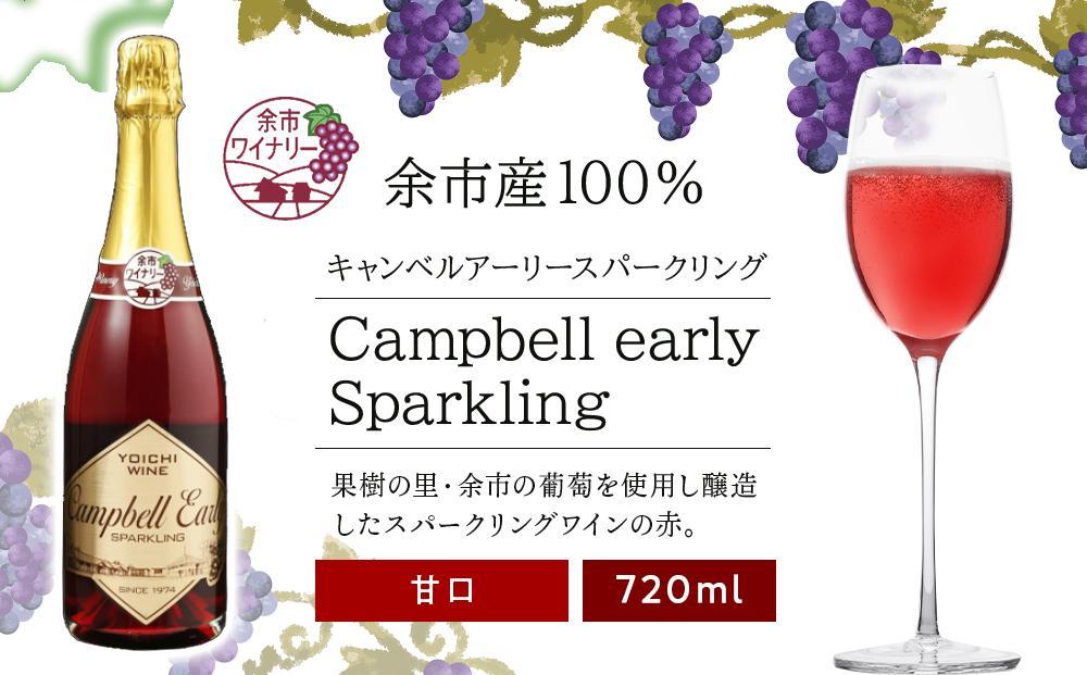 北海道 ワイン キャンベルアーリースパークリング 720ml ＜余市ワイン＞