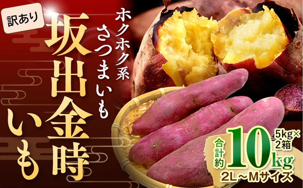 ＜2026年8月下旬以降発送・先行予約＞【訳あり】坂出金時いも　約5kg×2箱　2L～Mサイズ&nbsp;|&nbsp;さつまいも&nbsp;芋&nbsp;サツマイモ&nbsp;いも&nbsp;坂出金時いも&nbsp;金時いも&nbsp;金時&nbsp;焼き芋&nbsp;訳アリ&nbsp;訳あり&nbsp;ホクホク&nbsp;ホクホク系&nbsp;先行予約&nbsp;人気&nbsp;おすすめ&nbsp;香川県&nbsp;坂出市