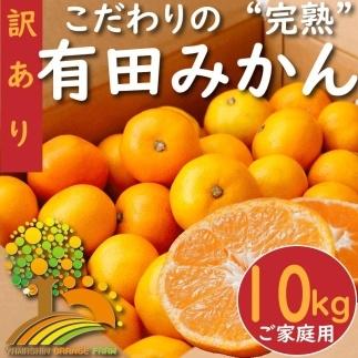 【訳あり】有田みかん 約10kg【2024年10月下旬より順次発送】