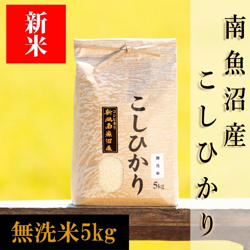 令和5年産・2023年産 魚沼産コシヒカリ（無洗米）5kg - 米・雑穀