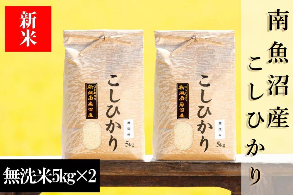 【令和8年産&nbsp;新米予約】南魚沼産コシヒカリ（無洗米）【10kg】【銘柄米&nbsp;ブランド米&nbsp;無洗米&nbsp;こしひかり&nbsp;コシヒカリ&nbsp;魚沼産&nbsp;新潟米&nbsp;産地直送&nbsp;お米&nbsp;米&nbsp;こめ&nbsp;コメ&nbsp;ご飯&nbsp;御飯&nbsp;ごはん】【2026年10月上旬から1ヶ月以内に順次発送予定】