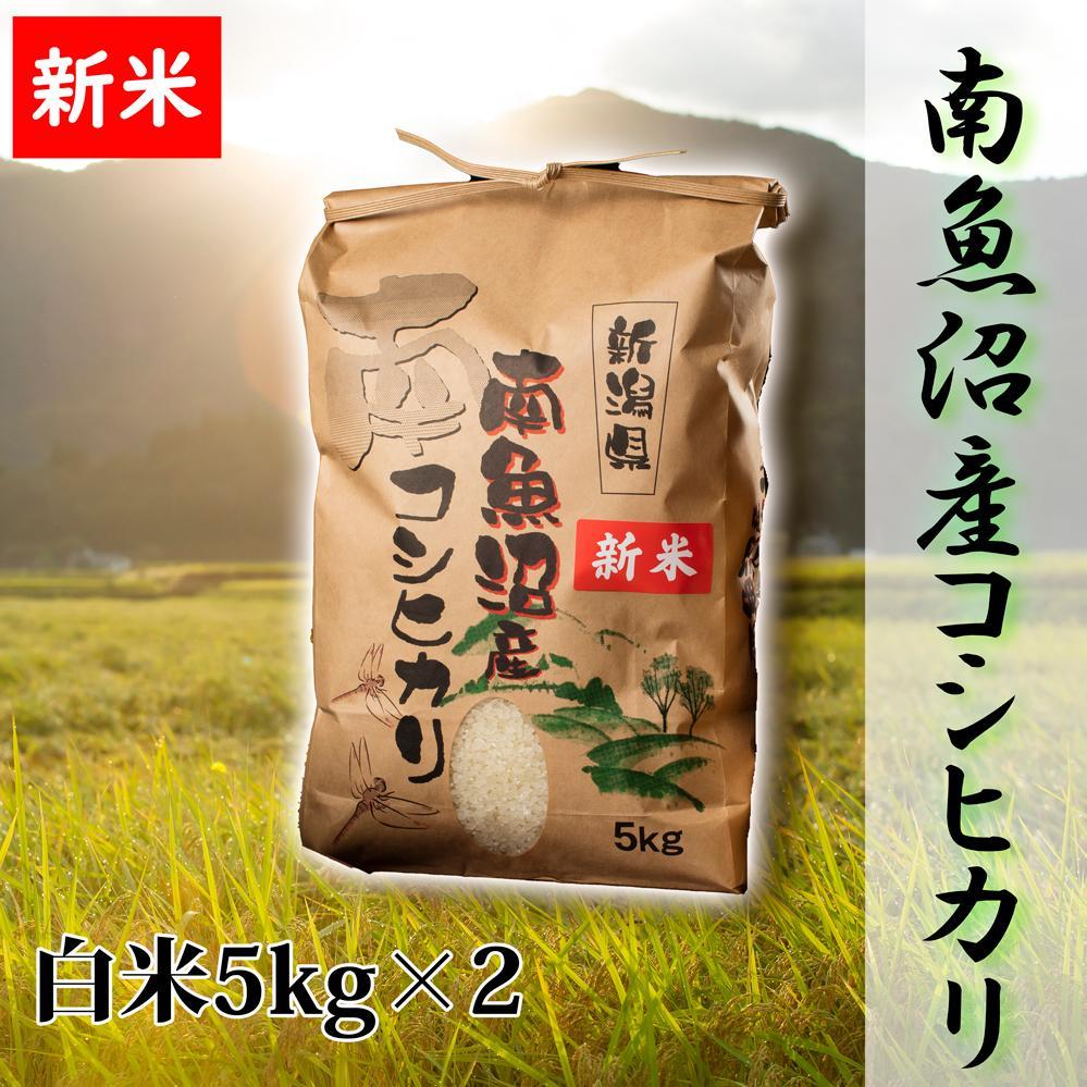 【令和8年産&nbsp;新米予約】【高級】南魚沼産こしひかり&nbsp;白米10kg&nbsp;新潟県の特A地区南魚沼市の美味しいお米【銘柄米&nbsp;ブランド米&nbsp;精米&nbsp;こしひかり&nbsp;コシヒカリ&nbsp;魚沼産&nbsp;新潟米】【2026年10月上旬から1ヶ月以内に順次発送予定】