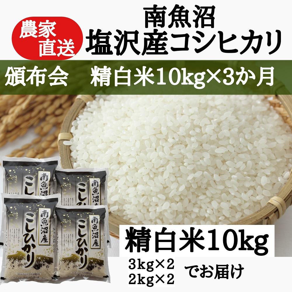 【頒布会】農家直送！令和6年産　南魚沼塩沢産コシヒカリ　精白米10ｋｇ×３ヶ月