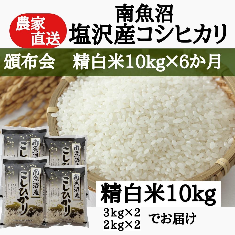 【頒布会】農家直送！令和6年産　南魚沼塩沢産コシヒカリ　精白米10ｋｇ×6ヶ月