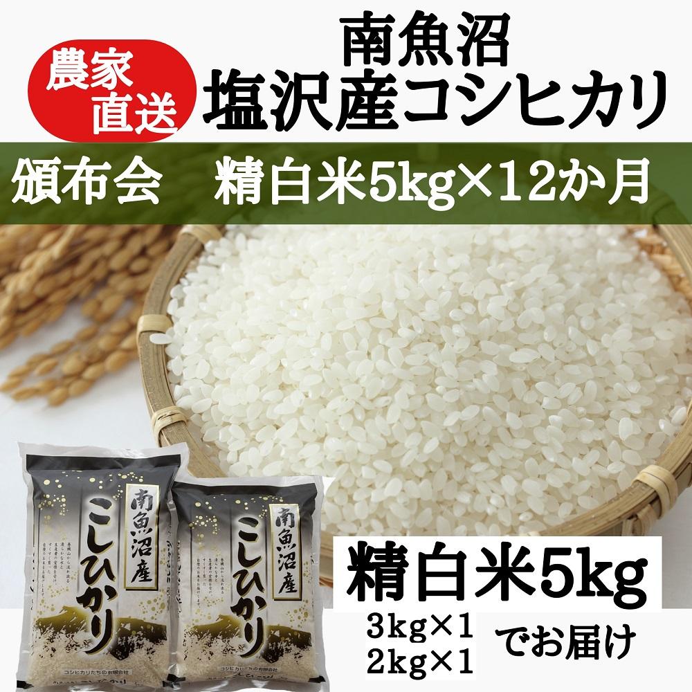 【頒布会】農家直送！令和6年産　南魚沼塩沢産コシヒカリ　精白米5ｋｇ×12ヶ月