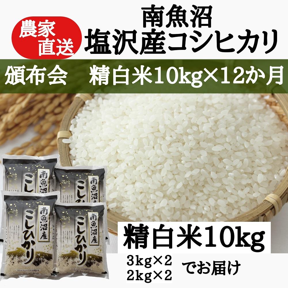 【頒布会】農家直送！令和6年産　南魚沼塩沢産コシヒカリ　精白米10ｋｇ×12ヶ月