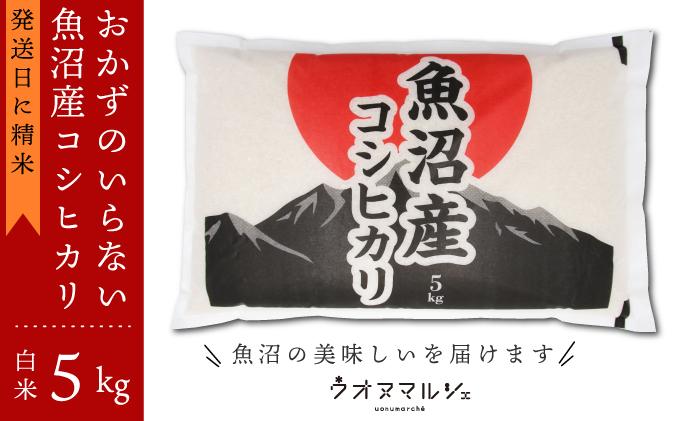 【新米予約】令和6年産 おかずのいらない 魚沼産コシヒカリ　白米５ｋｇ