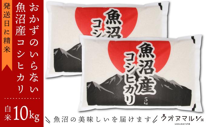 【新米予約】令和６年産 おかずのいらない 魚沼産コシヒカリ　白米１０ｋｇ