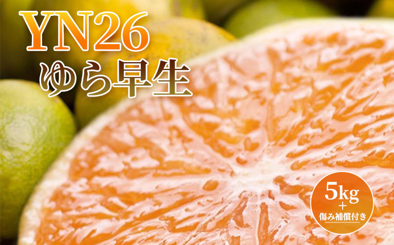 ＜9月より発送＞&nbsp;厳選&nbsp;極早生&nbsp;有田みかん&nbsp;5kg+150g（傷み補償分）&nbsp;YN26&nbsp;ゆら早生&nbsp;［IKE169］
