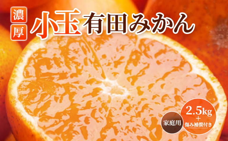 ［先行予約］家庭用&nbsp;小さな有田みかん2.5kg+250g（傷み補償分）［2026年10月初旬から2027年1月末日頃順次発送予定］［IKE246］
