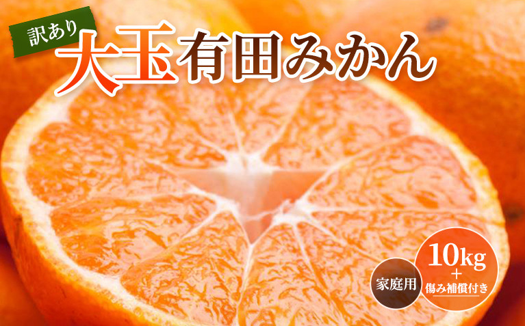 ［先行予約］家庭用&nbsp;大きな有田みかん10kg+250g（傷み補償分）［2026年11月中旬から2027年1月末日頃、順次発送予定］［IKE243］