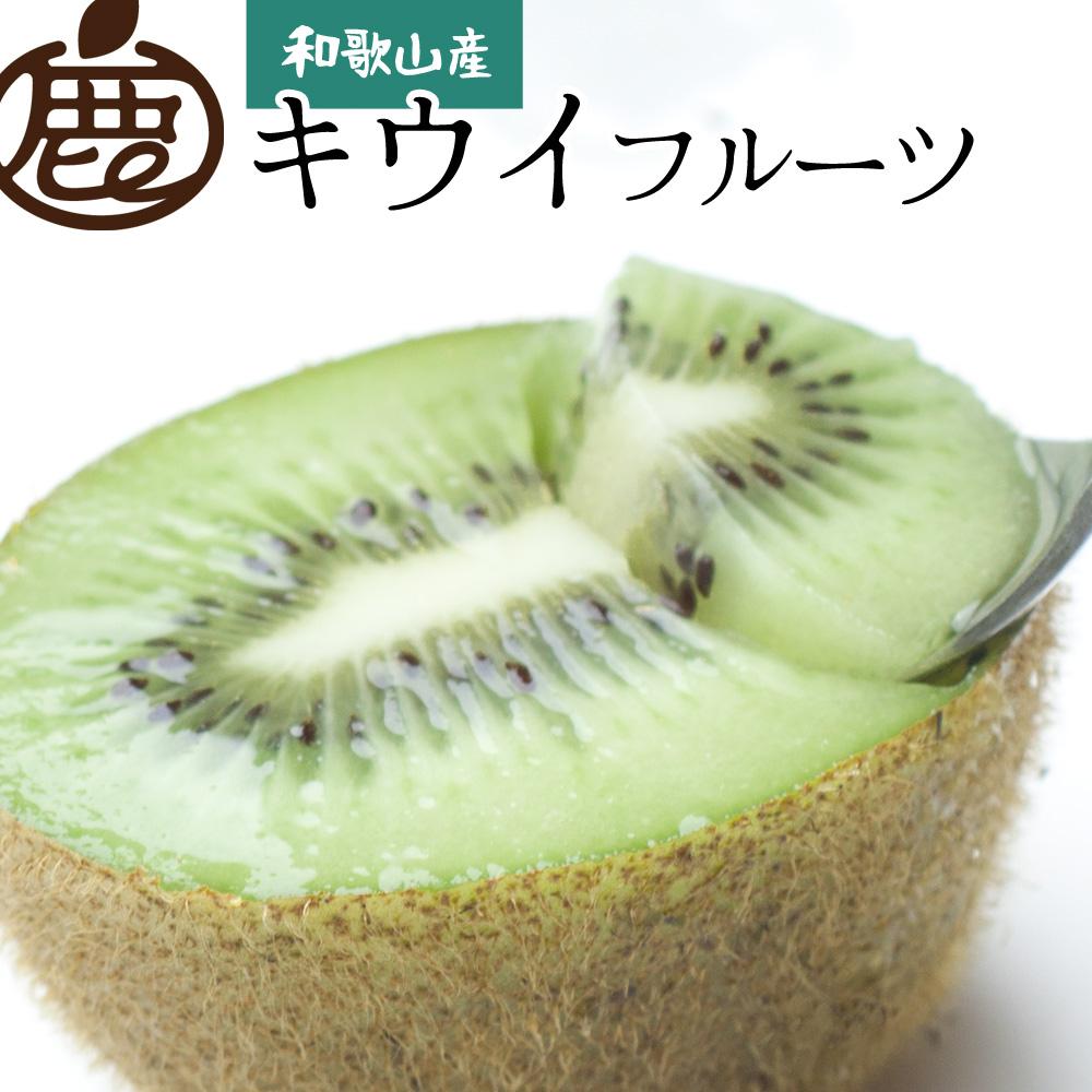 ［先行予約］厳選&nbsp;キウイ1kg+250g（傷み補償分）【扁平果】［IKE106］