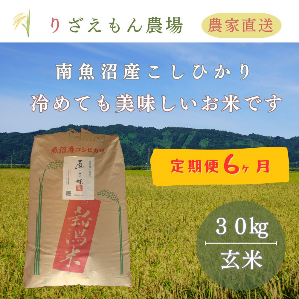 《令和8年産　新米予約受付》【定期便６回×玄米３０kg≪合計１８０kg≫】南魚沼産コシヒカリ　玄米&nbsp;３０kg　＼生産農家直送／【2026年10月上旬より順次発送予定】