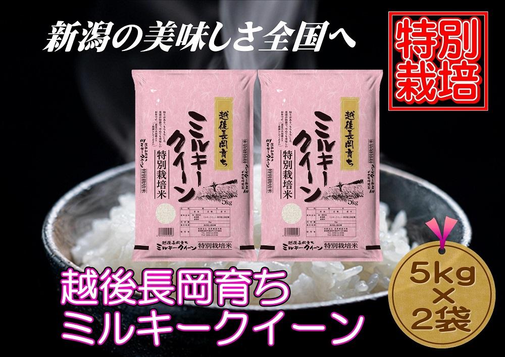 ノートパソコン 特別栽培米新潟県産ミルキークイーン15k - 食品