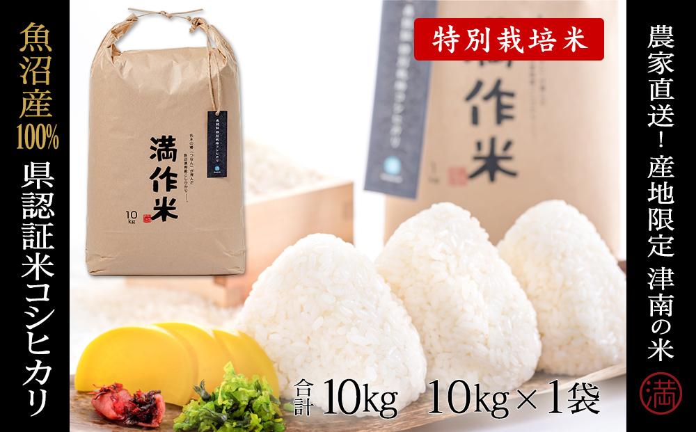 お米10キロ 白米 新潟産 コシヒカリ 1等米 農家直送 - 米・雑穀
