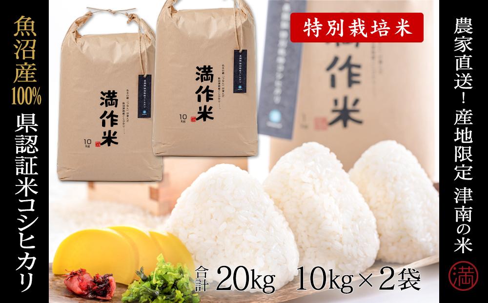 最大15％セット割精米日 2022、8月上旬 コシヒカリ 20kg(10kg×2袋) 明和町 三重 米/穀物