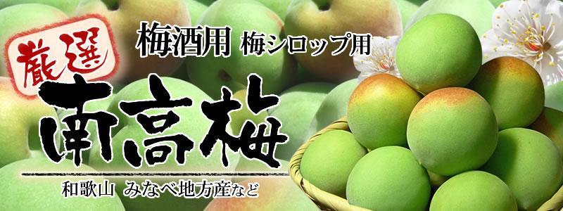 南高梅【緑】5kg □特大サイズ 梅酒用 フレッシュ青梅（生梅）／紀伊