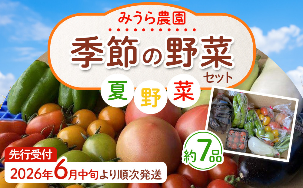 【2026年発送分先行予約】みうら農園&nbsp;季節の野菜セット（夏野菜）【2026年6月中旬以降順次】