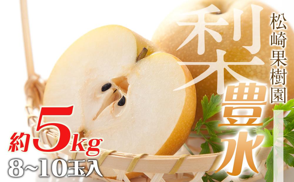 梨「豊水」約5kg（8～10玉入）【松崎果樹園】