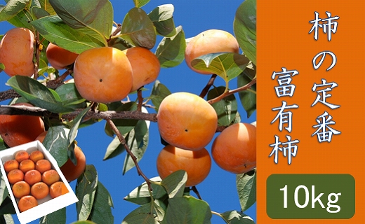 【ポイント交換】柿の定番“富有柿” 10kg