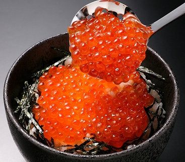 【12月31日受付終了予定】北海道オホーツク産 いくら醤油漬(300g・化粧箱入)
