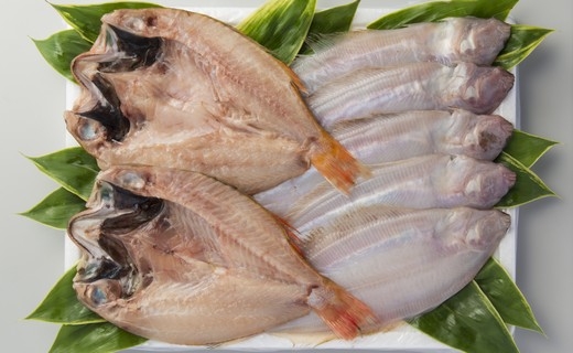 のどぐろ 柳かれい一夜干詰合せ Jtbのふるさと納税サイト ふるぽ