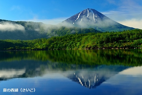 山梨県富士河口湖町