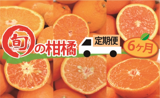 全6か月定期便 旬の柑橘類コース Jtbのふるさと納税サイト ふるぽ