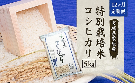 12ヶ月定期便 宮城県栗原産 特別栽培米 コシヒカリ 毎月5kg 12ヶ月 Jtbのふるさと納税サイト ふるぽ