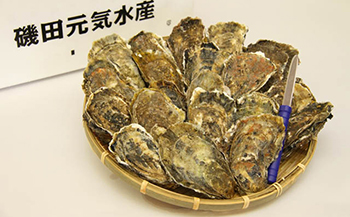 【ポイント交換専用】厚岸産殻付き牡蠣 Ｌサイズ20個