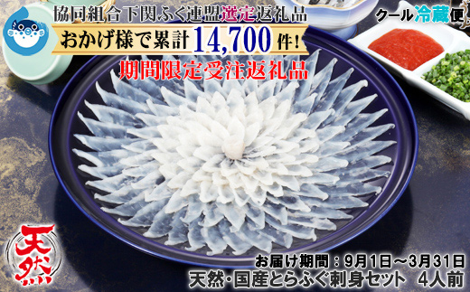 【HG仕様/着日指定/年末年始お届可】天然・国産とらふぐ刺身セット 4人前【下関ふく連盟選定品】~トラフグ・虎河豚~