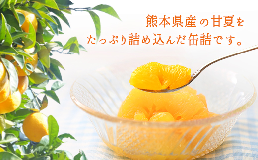 甘夏みかん 缶詰 24缶入り 身割れ Jtbのふるさと納税サイト ふるぽ