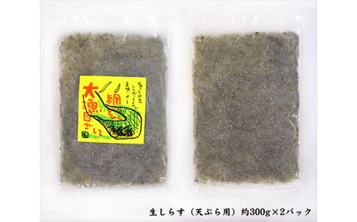南知多 篠島 生しらす天ぷら用 約300g 2パック Jtbのふるさと納税サイト ふるぽ
