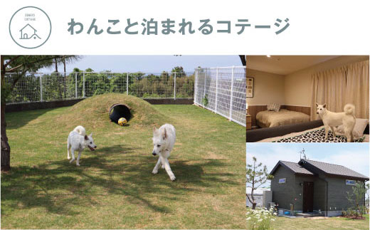 ONIWAご利用券 6,000円＜ゆったり空間で贅沢キャンプ わんこと泊まれるコテージ＞