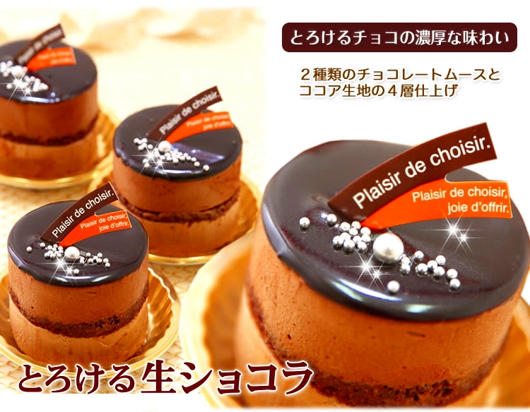 リッチな味わい チョコレートケーキ とろける生ショコラ 北海道 新ひだか町からお届け Jtbのふるさと納税サイト ふるぽ