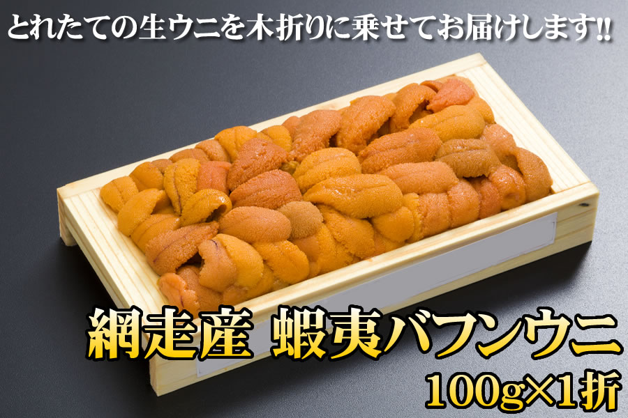 ふるさと納税 北海道 網走市 網走産 生エゾばふんうに 冷蔵100g×2折