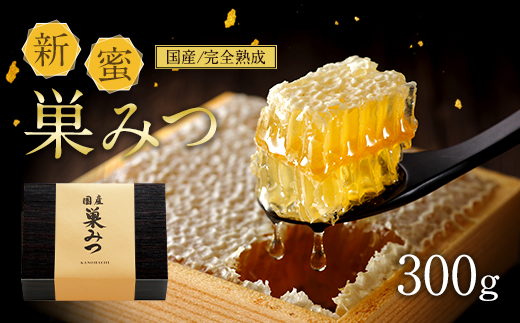 新蜜 巣みつ 300g前後 国産 はちみつ Jtbのふるさと納税サイト ふるぽ