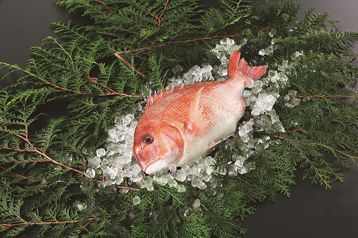 愛媛県産養殖真鯛フィレ2枚 お頭付き冷凍 Jtbのふるさと納税サイト ふるぽ