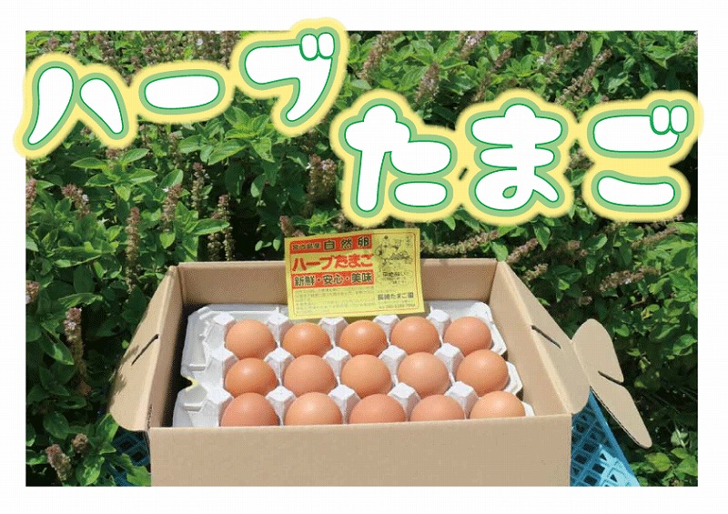 宮古島産自然卵 ハーブたまご 30個 Jtbのふるさと納税サイト ふるぽ