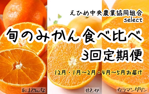 みかんの街 松山市より 旬のみかん食べ比べセット 3回定期便 12 1 2月 4 5月お届け Jtbのふるさと納税サイト ふるぽ