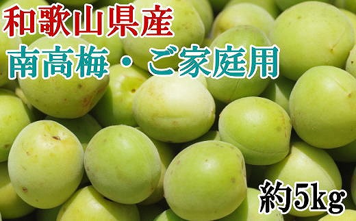 先行予約 和歌山名産 南高梅約5kg サイズ混合 ご家庭用選別 21年5月下旬 発送 Jtbのふるさと納税サイト ふるぽ