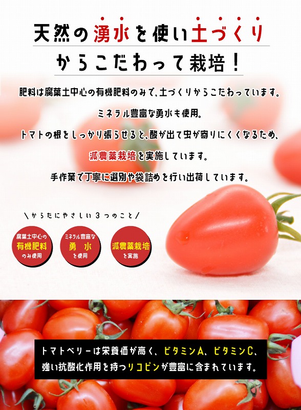 ポイント交換専用 減農薬栽培 トマトベリー 3ｋｇ Jtbのふるさと納税サイト ふるぽ