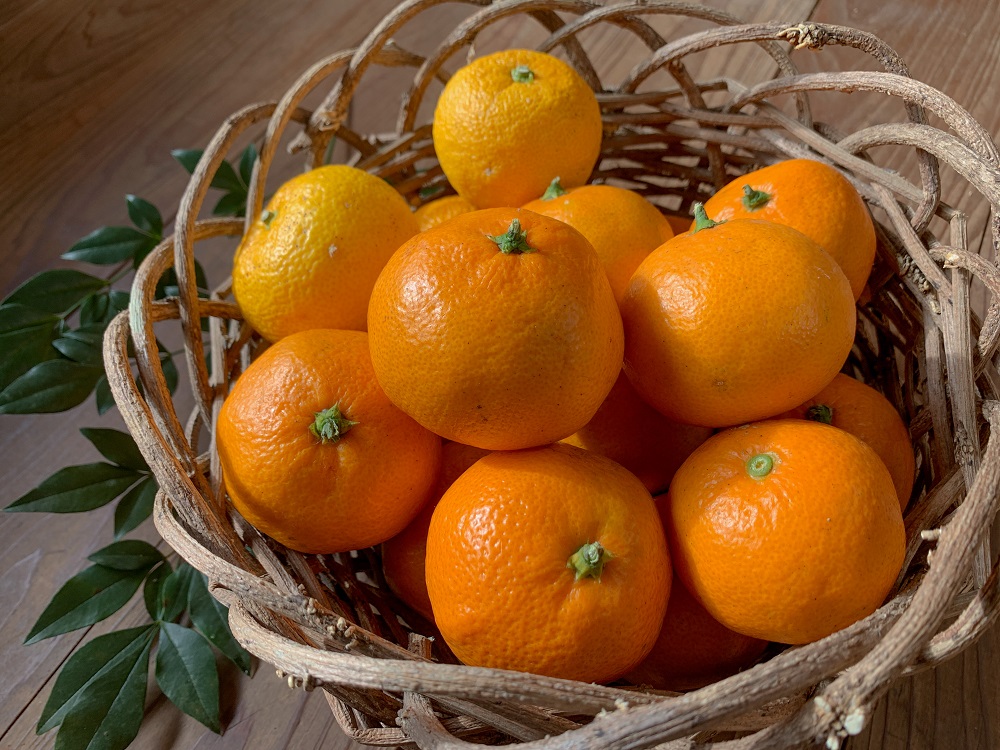 北限の濃い味みかんとオリジナル調合の香る七味 Jtbのふるさと納税サイト ふるぽ