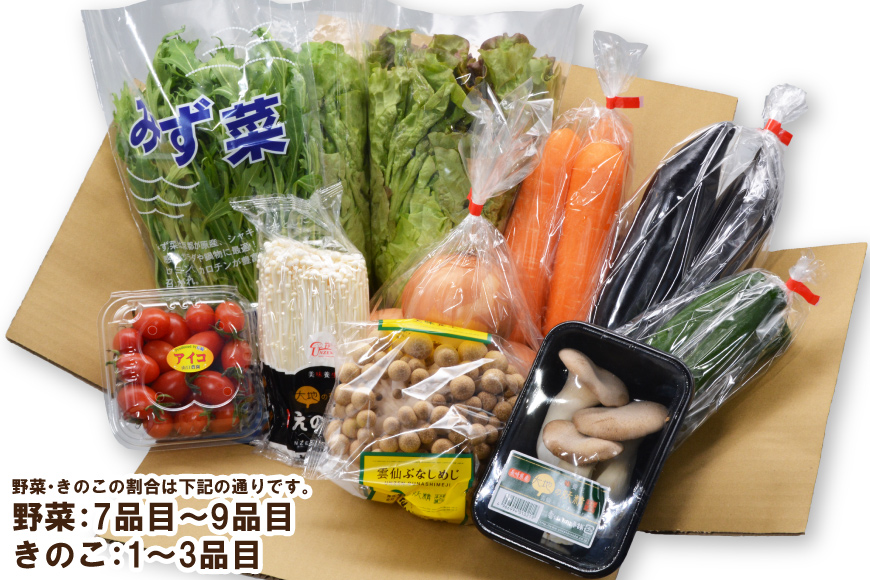 受付終了※【ポイント交換専用】野菜とキノコが10品目入ったおまかせ野菜セット 旬の野菜とキノコを盛り合わせ！ | JTBのふるさと納税サイト [ふるぽ]